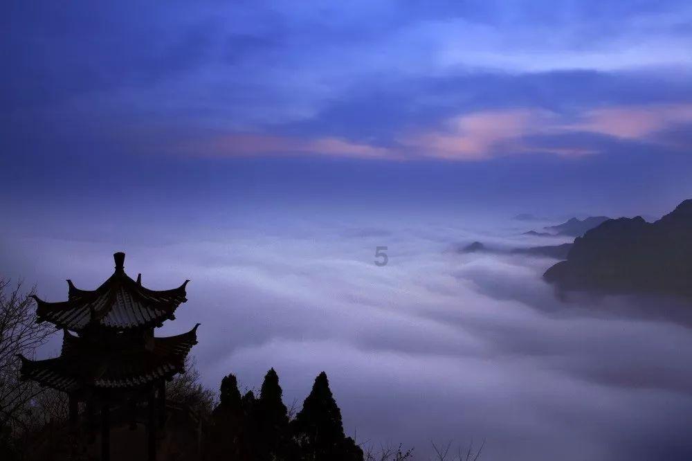 逗小猴开心系列194