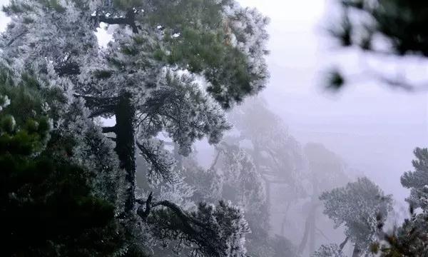 夏之许诺