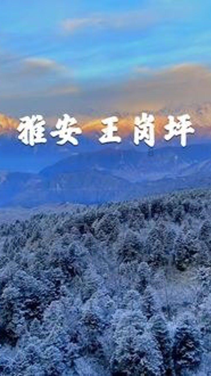 燃烧吧大脑免广告最新版