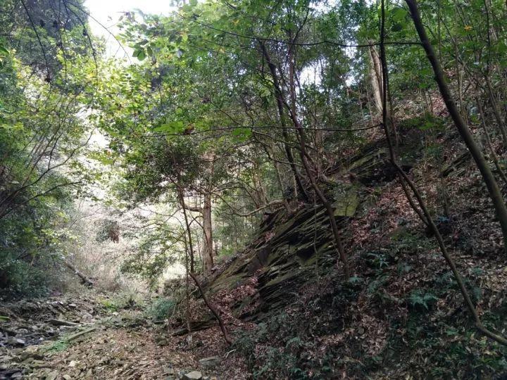 2023年池州生产总值突破1100亿元 经济增速连续4个季度居全省第一
