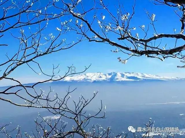 森松国际盘中异动 急速下挫5.07%