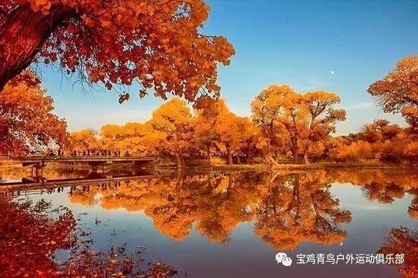 虫虫助手下载