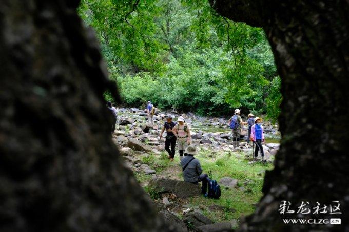 沉降值仅0.22毫米!青岛地铁8号线支线大风区间下穿济青高铁