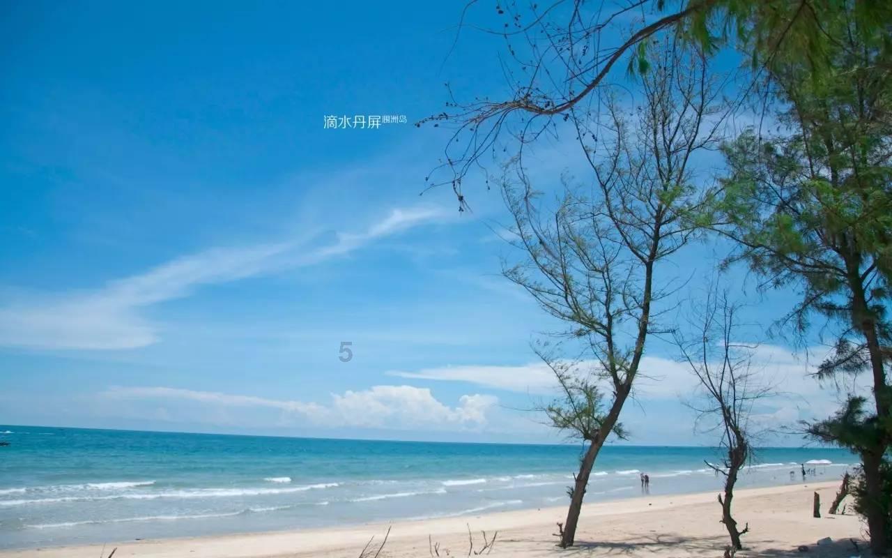 「狗爷」联名球鞋曝光！这颜值你打几分？