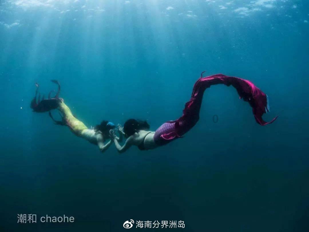 胡明文赴深圳市招商考察