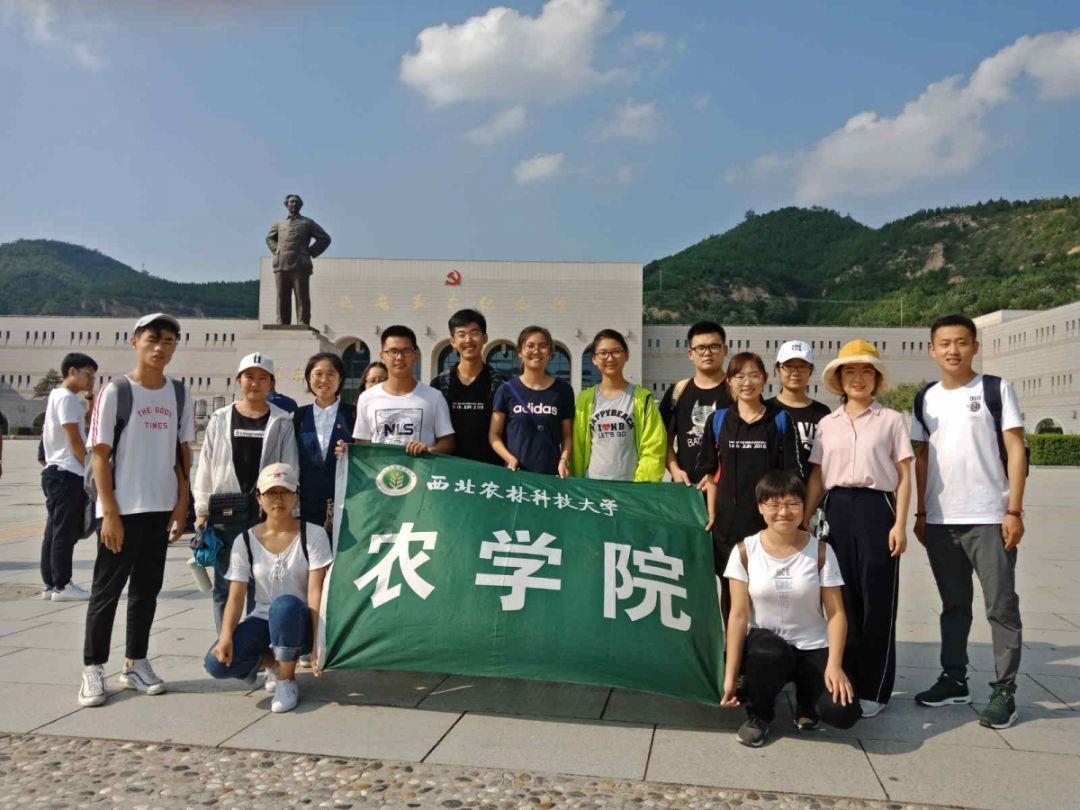 马道镇团委：暖冬行动 为爱加温