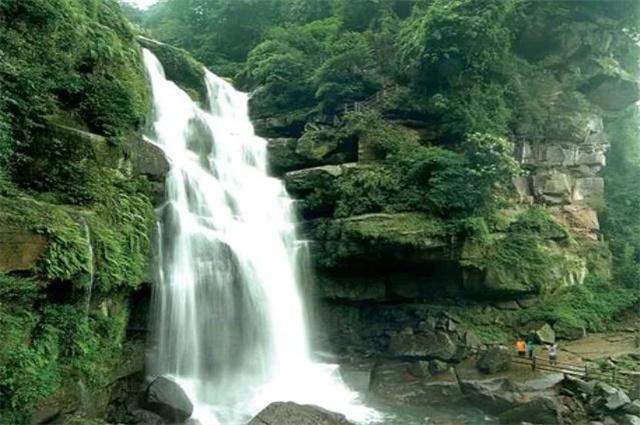 【媒体关注】中国绿色时报 | 龙江森工：打通“两山” 绿富共赢