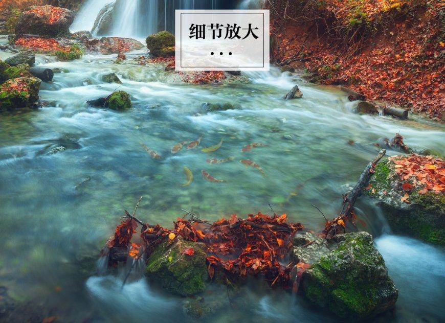 燃烧吧大脑免广告最新版