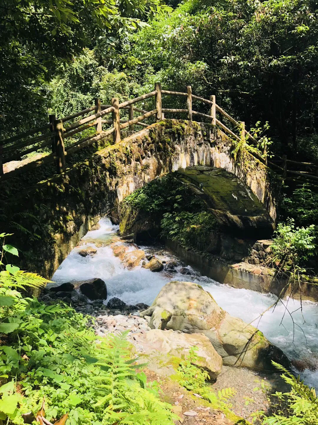 顺溜大冲锋