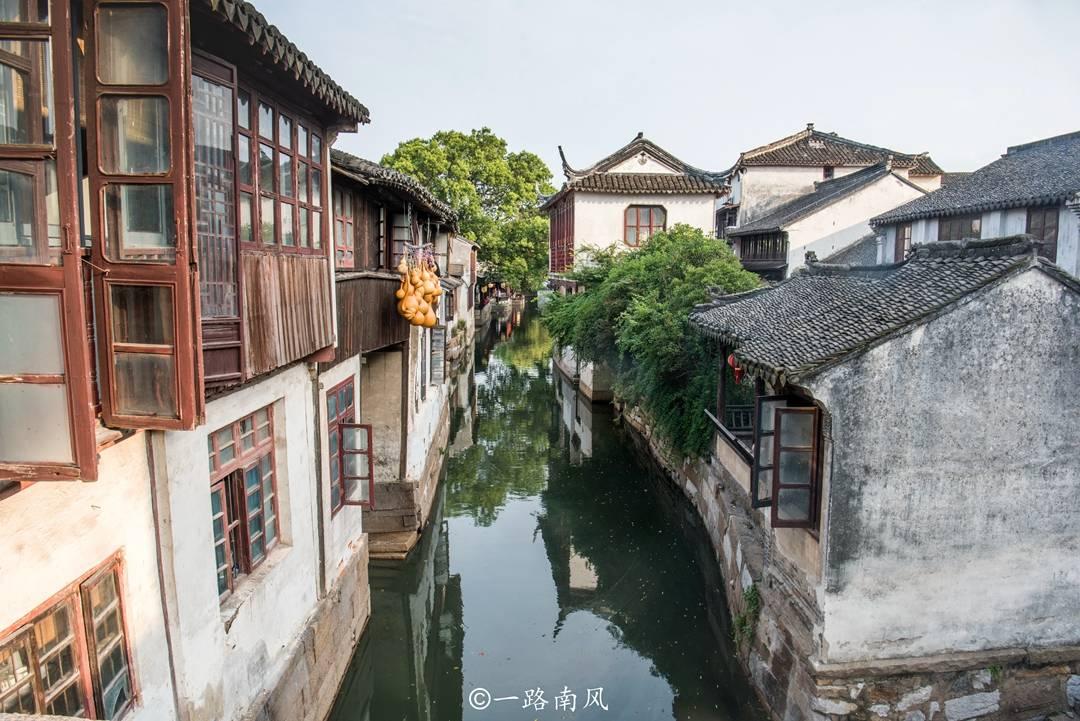 疯狂的小偷