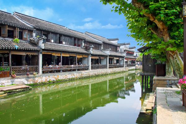 动物帮帮忙保卫家园