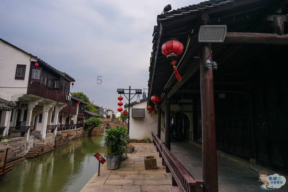小仓鼠吃瓜子