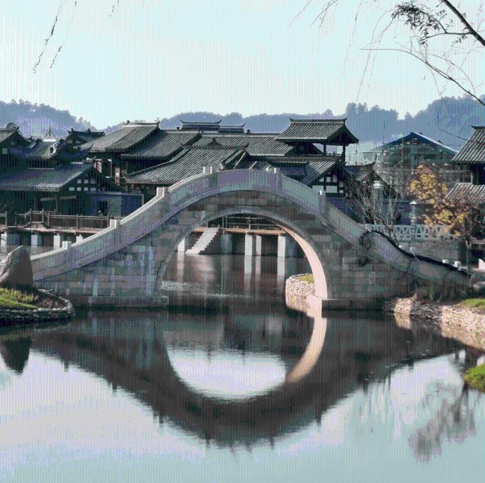 拯救小萌虎