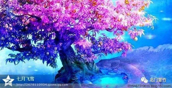 绝对完美